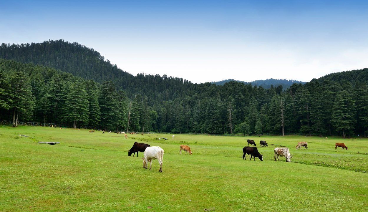 Dalhousie A Colonial Hill Retreat