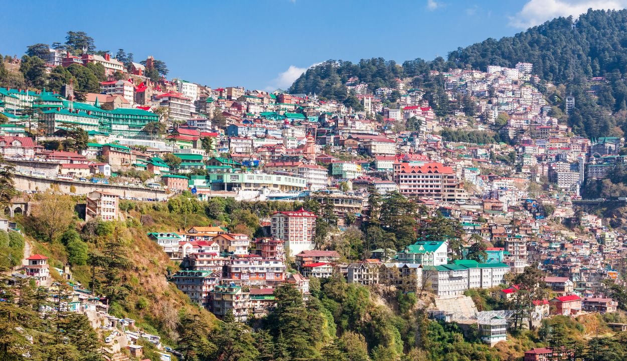 Shimla